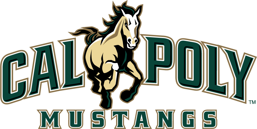 Cal Poly Mustangs 2016-2021 Primary Logo diy DTF decal sticker